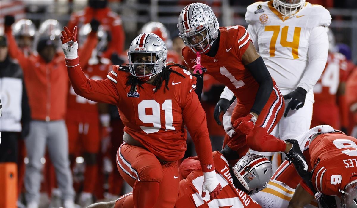 尽管波普目 尽管波普目